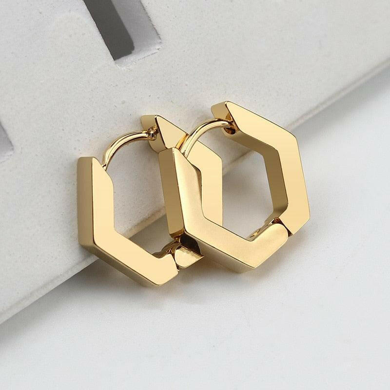 Chic Geometric Stainless Steel Hoop Earrings E3011