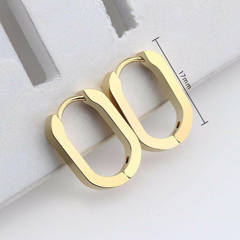 Chic Geometric Stainless Steel Hoop Earrings E3017